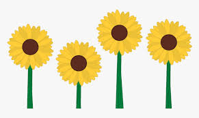These illustrations will help you create wedding invitations, cute gifts for your loved ones, posters, notes, albums, greeting cards, stickers, mood boards, social networks and promotions, packaging. Sunflower April Showers Bring May Flowers Clipart Transparent Flower Clipart Sunflower Hd Png Download Transparent Png Image Pngitem