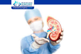 Kidney Transplant In Iran For Foreigners Kidney Transplant Cost