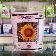Tanaman ini awalnya ditemukan di wilayah new york dan keberadaannya menyebar hingga ke benua eropa. Jual Benih Bunga Matahari Sunflower Giant Yellow 100 Biji Kemasan Ziplock Bibitbunga Com