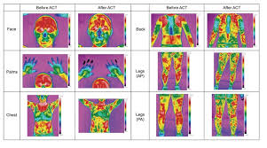 Woman body diagram labelled part of the woman body preeminent photo gallery in… Represetative Thermograms For Measured Body Parts For One Of Subjects Download Scientific Diagram