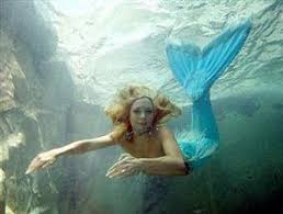 Mereka mencintai dunia bawah laut dimana tempat mereka tinggal. Putri Duyung Wikipedia Bahasa Indonesia Ensiklopedia Bebas