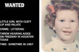 Linda Morris: Cleft Rebel