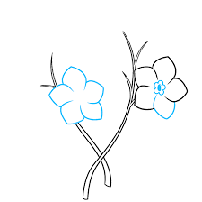 This is a digital download of an original pen and ink drawing. How To Draw Forget Me Not Flowers Really Easy Drawing Tutorial