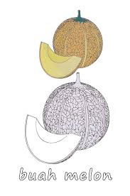 Check spelling or type a new query. Kumpulan Gambar Mewarnai Buah Melon Anak Tk Dan Paud Marimewarnai Com