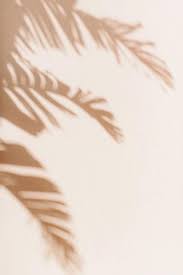 We did not find results for: Harry Styles Photo Kit Neutral Beige Aesthetic Wall Collage 50 Pcs Harry Styles Room Decor Harry Styles Wall Collage Digital Download In 2021 Aesthetic Backgrounds Aesthetic Iphone Wallpaper Beige Wallpaper