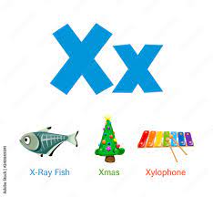 Then, draw out a map of this room and mark x on areas of the map where you've hidden those letters! Cute Children Abc Animal Alphabet Flashcard Words With The Letter X For Kids Learning English Vocabulary Stock Vector Adobe Stock