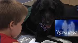 Fast and simple online service dog registration services. How To Decide Between Autism Service Dogs Or Therapy Dogs Autism Speaks