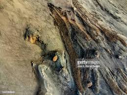 نتیجه جستجوی لغت [solidified] در گوگل