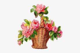 Find high quality flower basket clipart, all png clipart images with transparent backgroud can be download for free! Pink Flower Clipart Flower Basket Pencil And In Color New Rose Flowers Basket 547x524 Png Download Pngkit