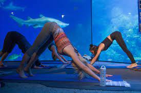 Maybe you would like to learn more about one of these? The 7 Coolest Yoga Classes In Colorado The Know