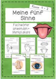 Arbeitsblatter Und Merkplakate Zu Den 5 Sinnen Unterrichtsmaterial Im Fach Sachunterricht In 2020 Merken Plakat Fachworter