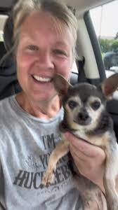 Rescuing a Lost Chihuahua: A Heartwarming Tale