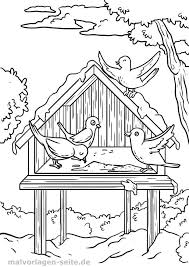Malvorlage Vogel Im Winter Vogelhauschen Coloringbook Coloringpages Coloringpage Coloringforadults Coloring In 2020 Vogel Im Winter Malvorlagen Ausmalbilder Vogel