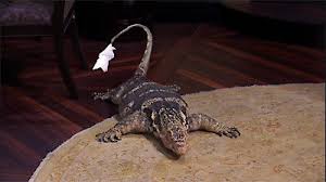 Tv links for the episodes of jessie, episode guide, trailers videos and more. Watch Jessie Season 3 Episode 4 101 Lizards Online Now