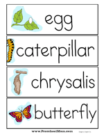 Free Butterfly Printables For Preschool Preschool Printables Insects Preschool Preschool Butterfly Theme
