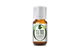 Discipline is essential in an army. 11 Best Essential Oils For Acne Of 2021 Get Better Brighter Skin Wwd