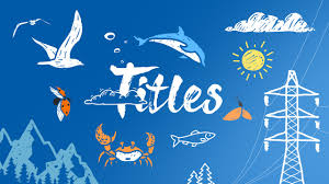 Share your memories with friends or collect best shots from last travel. Vacation Travel Hand Drawn Titles Premiere Pro Templates Motion Array