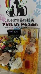 From pet cremation and funerals to memorials, the team at pets in peace conduct all services with great sensitivity and. Facebook