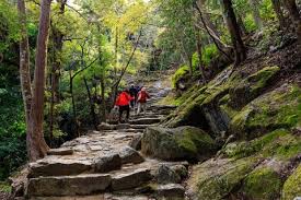 And if you meet a fellow traveler on horseback, take care not to startle the horse and note that, unless otherwise posted on the trail, the common. Japan Hike Bike Kayak Intrepid Travel