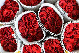 This year, use these quotes for your happy valentine's day cards to let your loved ones know how if you're struggling with what to write in your cards, choose from valentine's day quotes for your. Valentine S Day By The Numbers Fortune