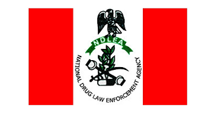 The national drug law enforcement agency ndlea, is currently sole organization approved be the federal government of nigeria to carry out due enforcement on all drug related matters. War Against Drugs Ndlea Commends Red Star Red Star Express Plc