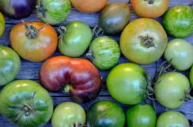 Don't worry, there's a few tricks you can employ to help your green tomatoes turn red. Storing Tomatoes Indoors Turning Green Tomatoes Red