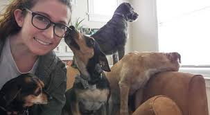 UPDATE: Piper has a foster!!!! Now she's looking for her forever home! PM  ME UPDATE: Sadly Piper has had to go to boarding. It is reported that she  is A VERY SWEET!!!