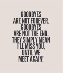 I Ll Miss You Until We Meet Again Goodbye Quotes Words Quotes