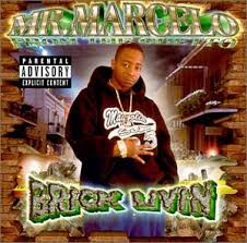 The chance of hatching it is 35.5%. Mr Marcelo Brick Livin Amazon Com Music