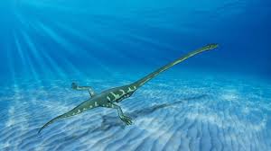 Image result for Tanystropheus