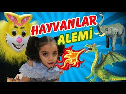 Hayvanlar Alemi Hayvanlar Hayvan Hayvanlar Alemi