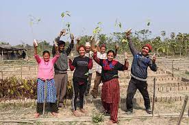 The planted tree doesn't cost you a single cent! Grunder Der Woche B N Tree Wer Verreist Pflanzt Startingup Das Grundermagazin
