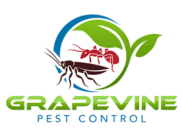 His knowledge and experience in the extermination business will get rid of your pests quickly. Pest Solutions Grapevine Tx Grapevine Pest Control