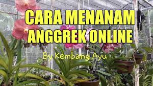 Ghaitsa florist merupakan toko bunga papan online tanggerang yang memproduksi krans bunga duka cita, krans bunga salib, rangkaian bunga standing flower, bunga papan wedding, bunga papan duka cita, bunga ucapan selamat wisuda, papan bunga grand opening, papan bunga happy graduation, hand buket pengantin, hand bouquet mawar, bunga mawar valentin. Cara Menanam Anggrek Online Youtube
