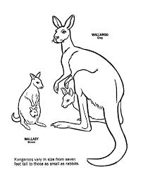 Set of cute australian animals as kangaroo, duckbill, emu bird, animals for coloring book or page. Australian Animals Coloring Pages Coloring Home
