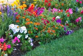 Garden Design Plans Ideas