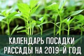 лунный календарь садовода и огородника на июнь 2019 года Kalendar Posadki Rassady Na 2019 J God Ogorod Posadka Sada Posadka Semyan