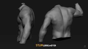 Here the extrinsic back muscles are classified into logical subgroups to facilitate knowledge. Stijn Leidelmeyer Back Muscles Anatomy Study