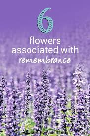 But how did the distinctive red flower become such a potent symbol of our remembrance of the sacrifices made in past wars? 35 Flowers Associated With Grief And Loss Flower Meanings Grief Support In 2021 Remembrance Flowers Memorial Plants Memorial Flowers