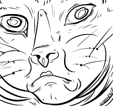 F2u Wrinkly Cat Lineart 2 By Narrae On Newgrounds Create an account or log into facebook. f2u wrinkly cat lineart 2 by narrae on