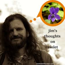 Violet Herb