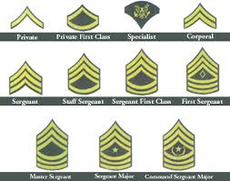 Military Dog Tags Rank Insignia Charts United States Army
