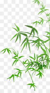 Leaves Png Leaves Transparent Clipart Free Download Swing Designer Creativity Free To Pull The Branches Swing Cre Flower Art Nature Aesthetic Flowers Gif