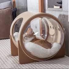 Cat Relaxing In Her Modern Glass Pet House Pet Furniture Cat Room Cat Accessories