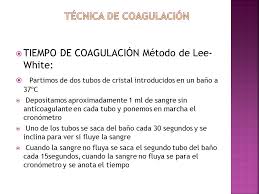 Geidy Castillo El Proceso De Coagulacion Sanguinea Es Un Fenomeno Complejo Que Tiene Como Objetivo Solidificar La Sangre Liquida La Produccion De Ppt Descargar