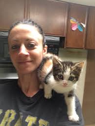 Anyone donating a kitten? 🐈‍⬛