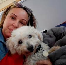 Last October, we rescued Yogi, a 12-year-old, 16-pound fun and quirky  little guy, from Baldwin Park Shelter where he was brought in as a stray.  Having been at Frosted Faces Foundation for