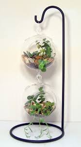 Hanging Glass Succulent Terrariums On Large Wrought Iron Stand Wedding Centerpieces Diy Project Diy Succulent Terrarium Succulent Terrarium Hanging Succulents