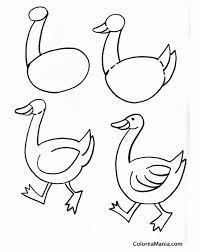 Colorear Una Oca Aprendiendo A Dibujar Dibujo Para Colorear Gratis