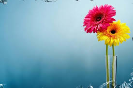33 Hd Wallpapers For Windows 10 Download Free Awesome Full Hd Wallpapers For D Aesthetic Desktop Wallpaper Spring Desktop Wallpaper Cool Desktop Wallpapers